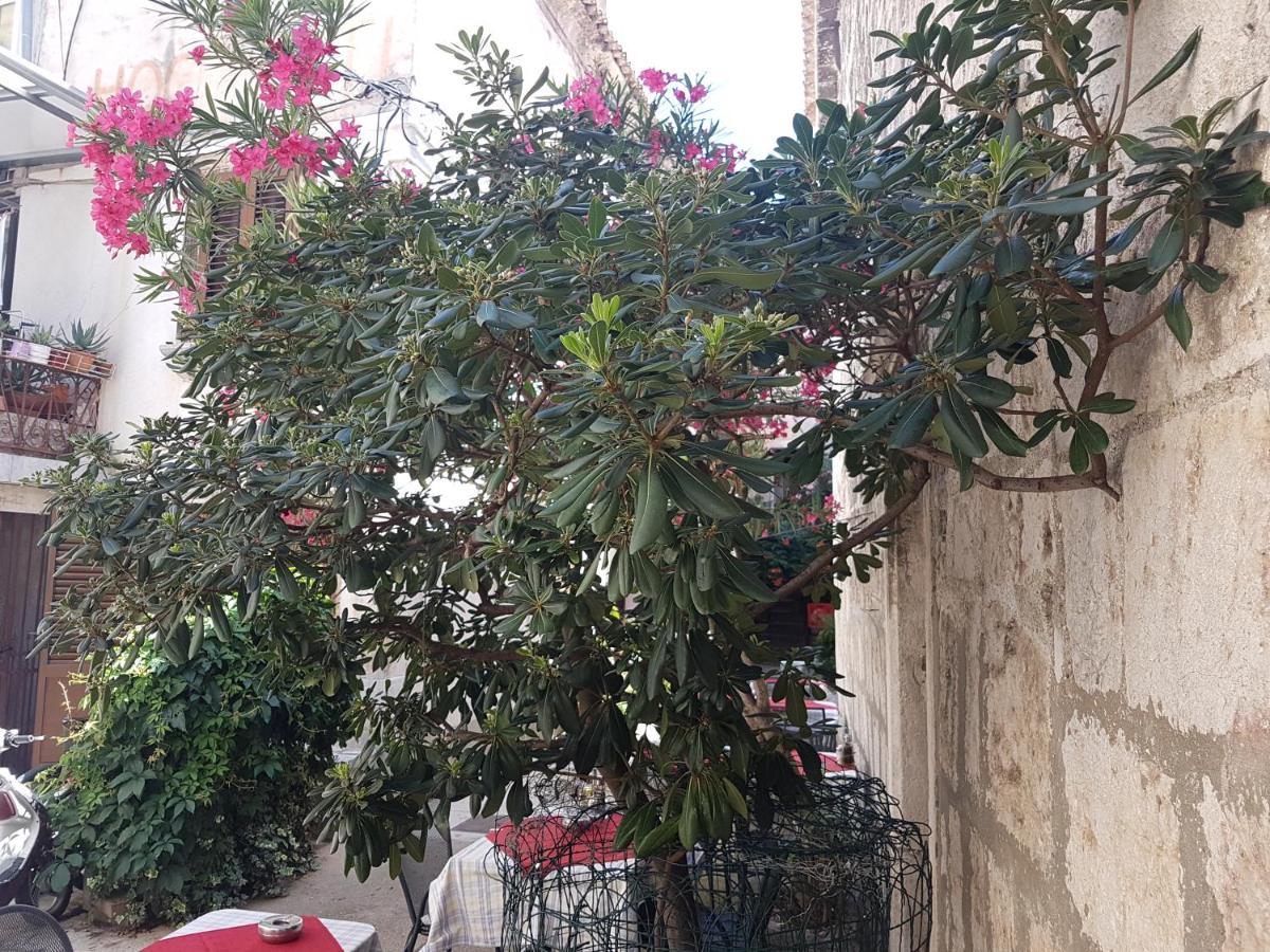 Villa Marija Cres Bagian luar foto